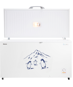 Hisense 550 liter Chest Freezer | FC-55DD4SA